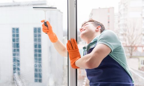 Exterior Window Washing